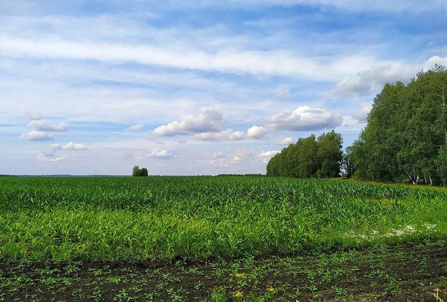 А вы помните каким был городской парк до реконструкции?