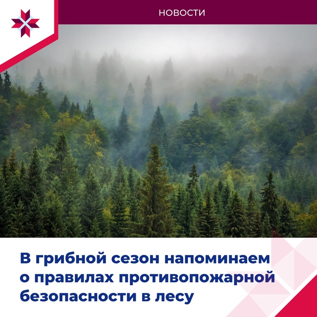 Напоминаем о правилах пожарной безопасности в лесу